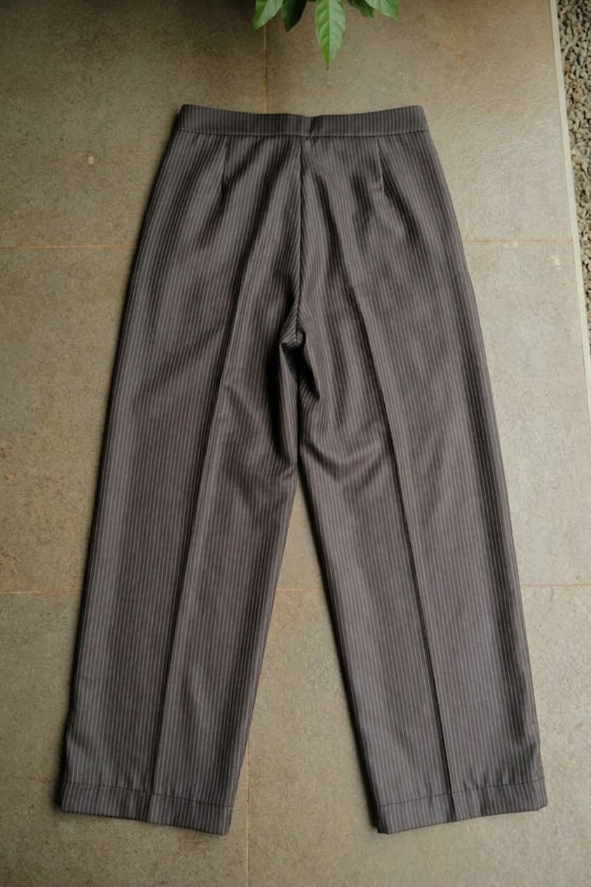Pleated pinstripe pants